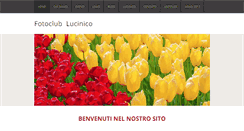 Desktop Screenshot of fotoclublucinico.org